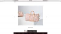http://www.antjepeters.com/files/gimgs/th-100_Antje Peters Louis Vuitton 16.jpg